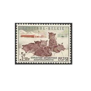 BÉLGICA CÃES 1957 - YV 1030 MINT