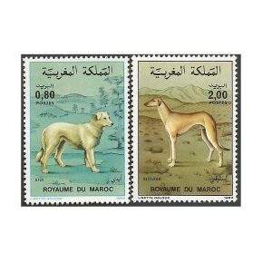 MARROCOS CÃES 1984 - YV 979/0 MINT