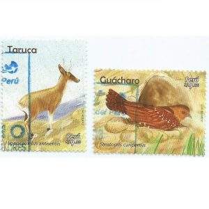 PERU - TARUCA E GUÁCHARO CARIMBADOS