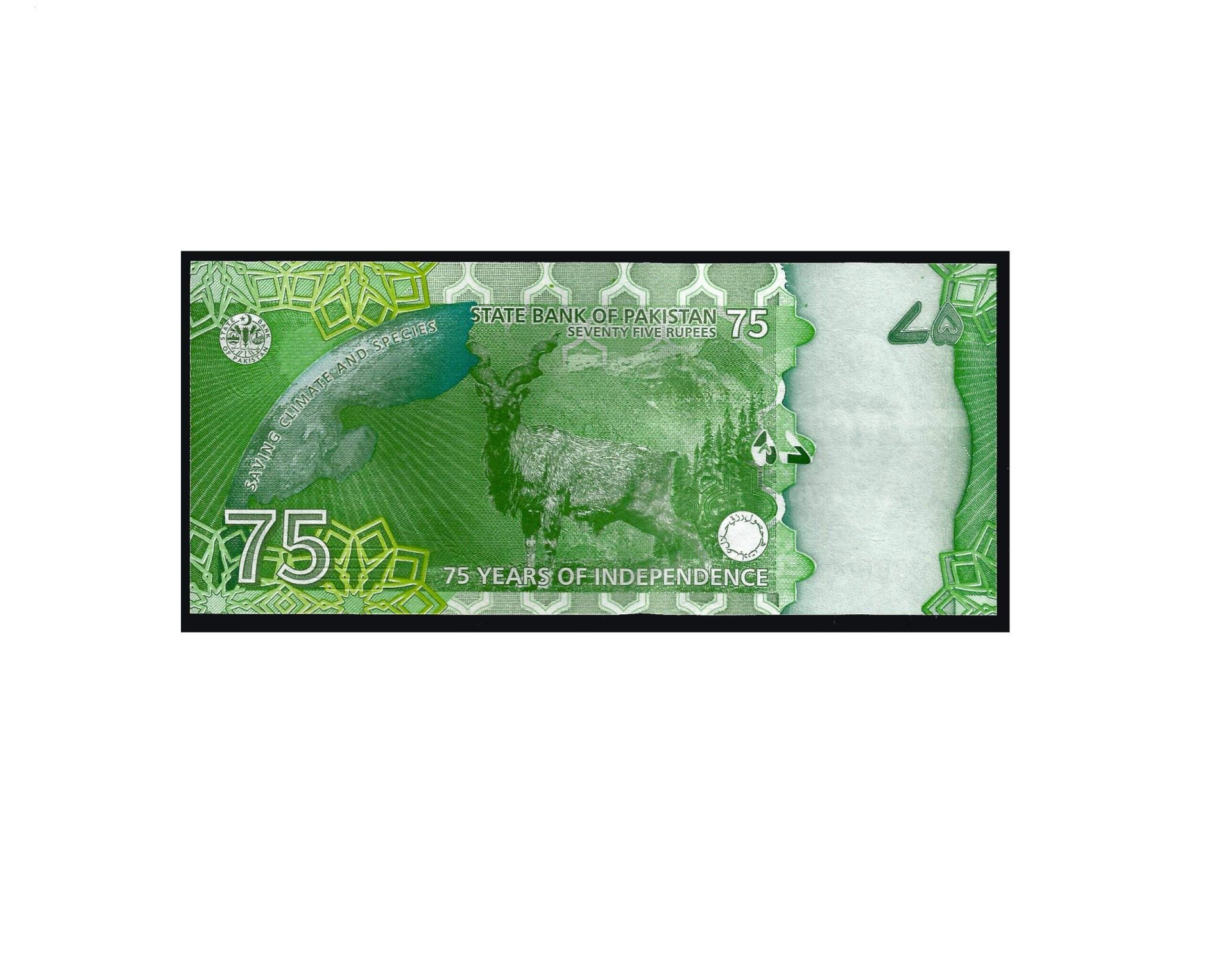 CÉDULA DO PAQUISTÃO 75 RUPIAS 2022 FE - Imagem 2