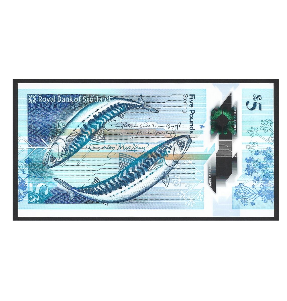 CÉDULA DA ESCÓCIA 5 POUNDS 2016 P 370 FE - Imagem 2