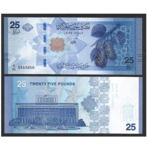 CÉDULA DA SÍRIA 25 POUNDS 2025 FE